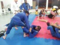 /album/galeria-de-fotos-pagina-inicial/reobote-4-jpg/